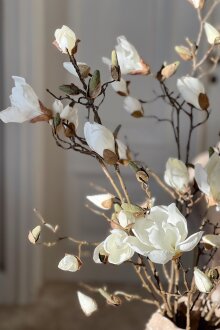 DIVERSE LEVERANDØR - 6174-10 Magnolia gren 110 cm.