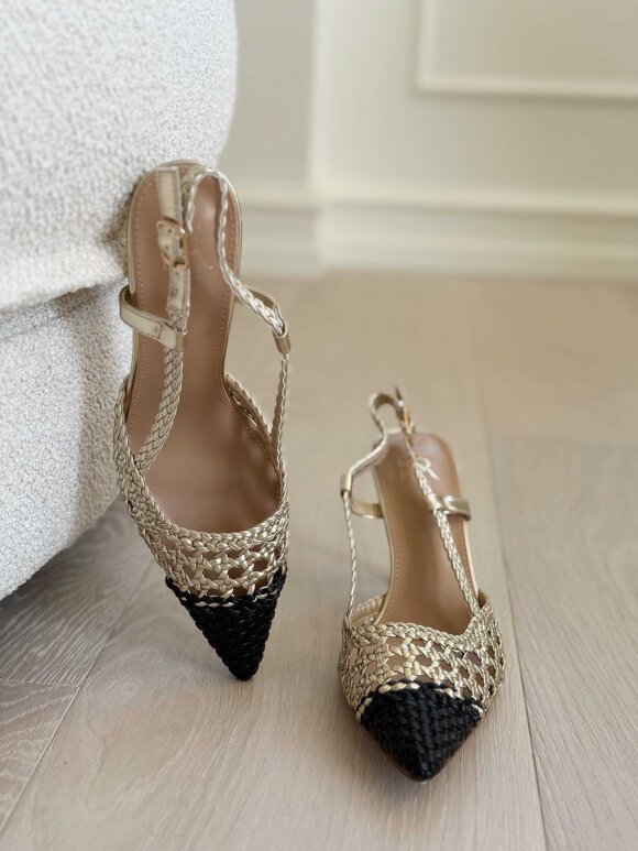 NDP - Erynn Heels 333-281