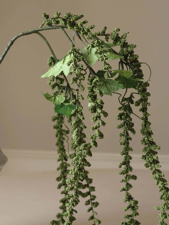 DIVERSE LEVERANDØR - Green Amaranthus Emerald