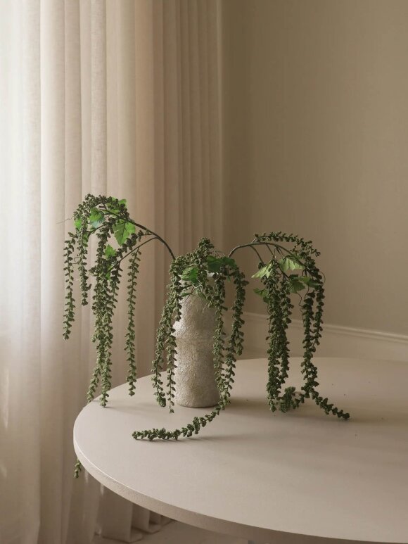 DIVERSE LEVERANDØR - Green Amaranthus Emerald