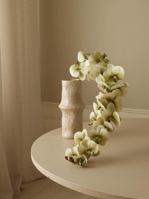 DIVERSE LEVERANDØR - Green Majestic Orchid Flower
