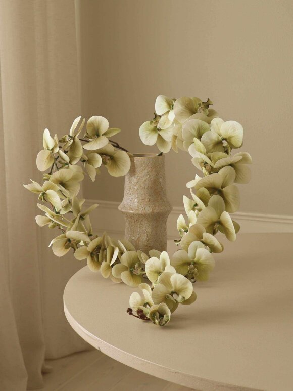 DIVERSE LEVERANDØR - Green Majestic Orchid Flower