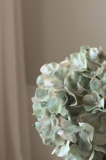DIVERSE LEVERANDØR - Pale Green Short Hydrangea
