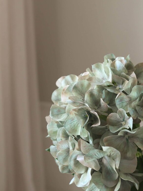 DIVERSE LEVERANDØR - Pale Green Short Hydrangea