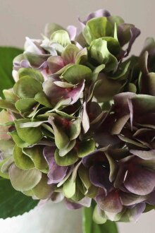 DIVERSE LEVERANDØR - Pale Purple Hydrangea Flower