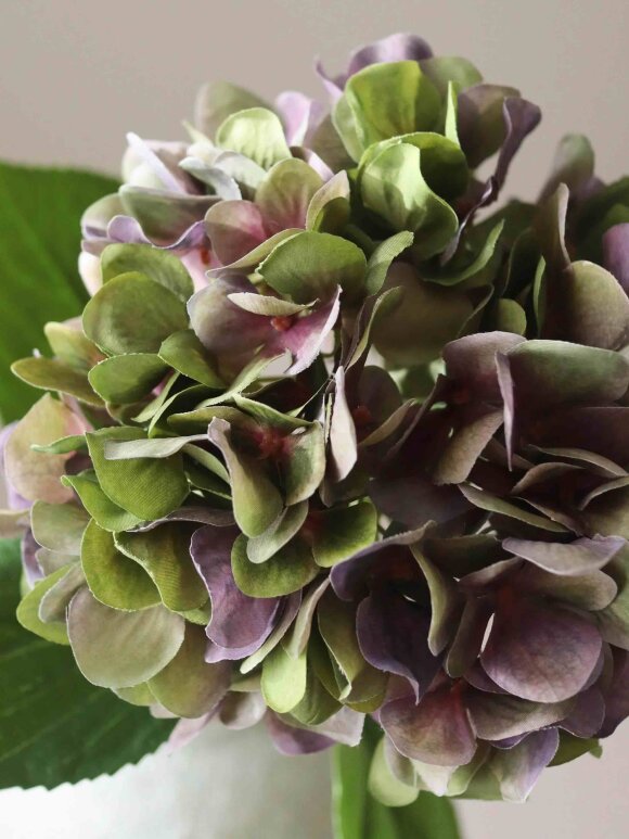 DIVERSE LEVERANDØR - Pale Purple Hydrangea Flower