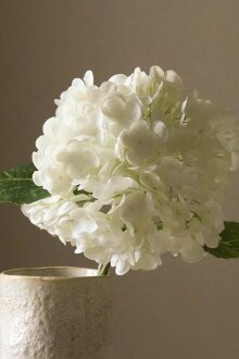 DIVERSE LEVERANDØR - Hydrangea Flower White