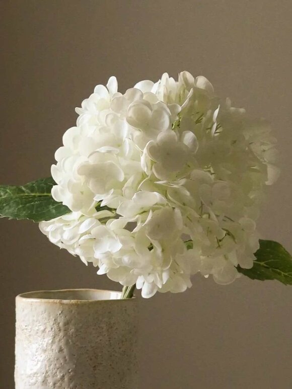 DIVERSE LEVERANDØR - Hydrangea Flower White