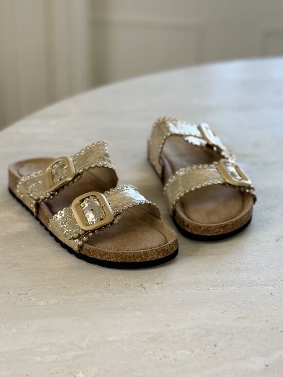 NDP - Findlay Sandal X5-385