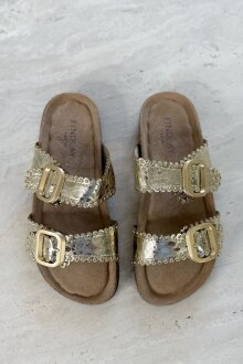 NDP - Findlay Sandal X5-385