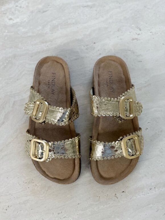 NDP - Findlay Sandal X5-385