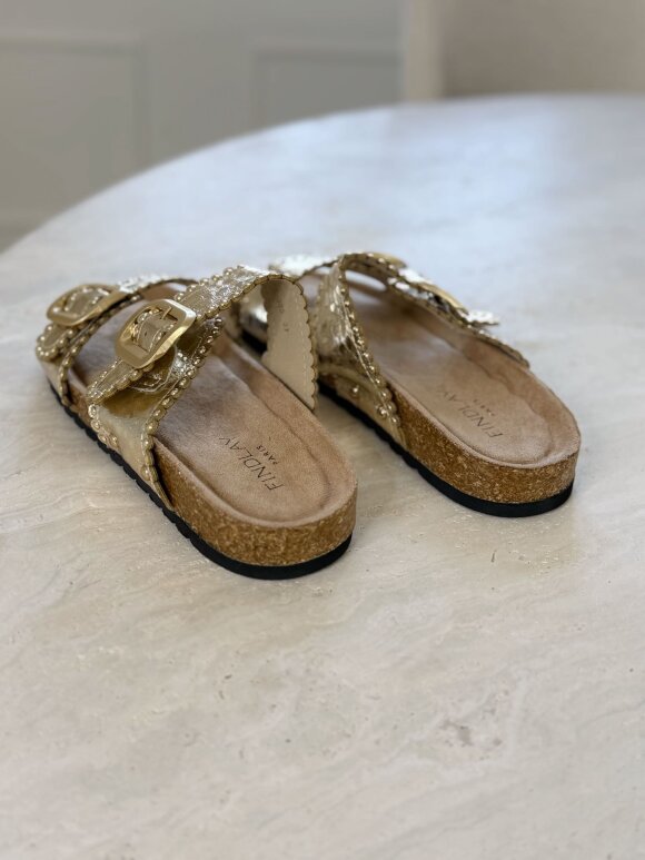 NDP - Findlay Sandal X5-385