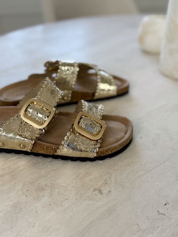 NDP - Findlay Sandal X5-385