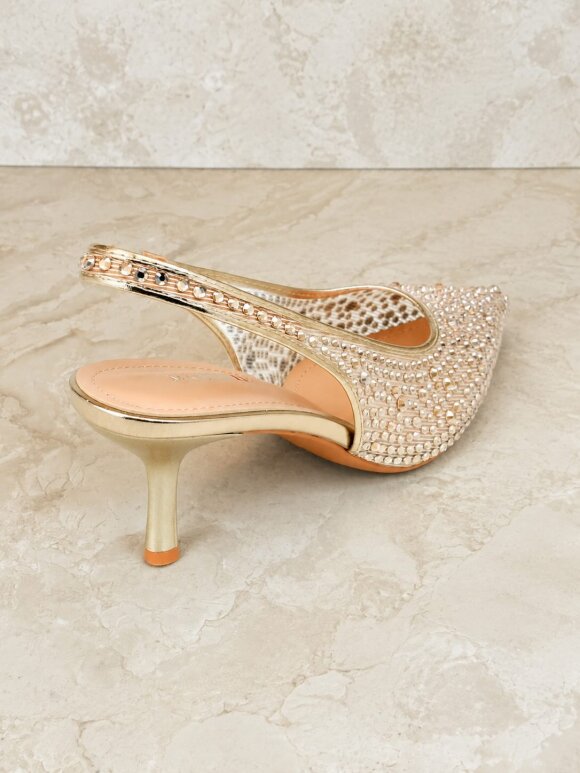 NDP - Marq Heel 5553