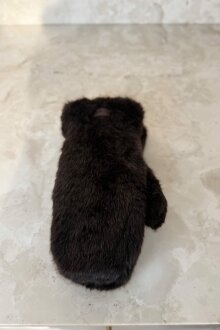 NDP - Phanie Fakefur Gloves 92013 NDP - Phanie Fakefur Gloves 92013