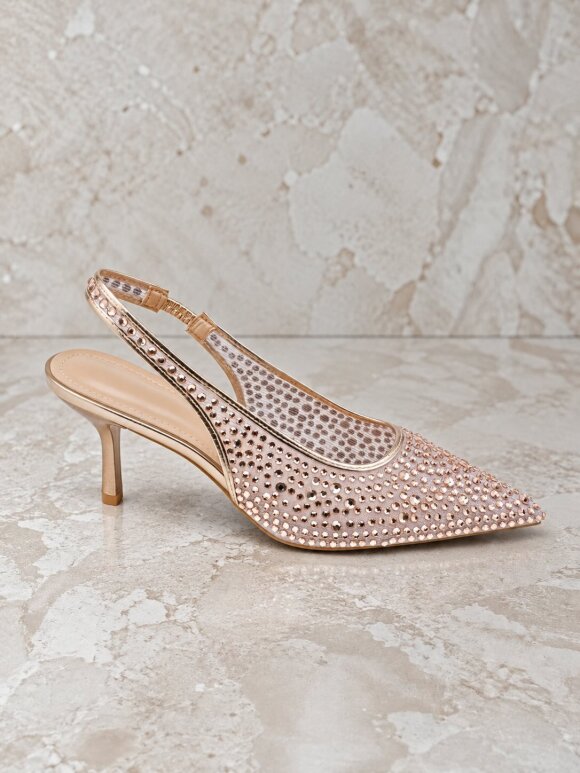 NDP - Marq Heel 5553 Cham
