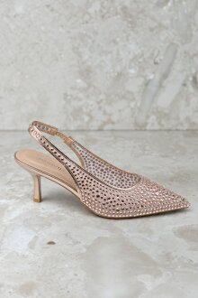 NDP - Marq Heel 5553 Cham NDP - Marq Heel 5553 Cham